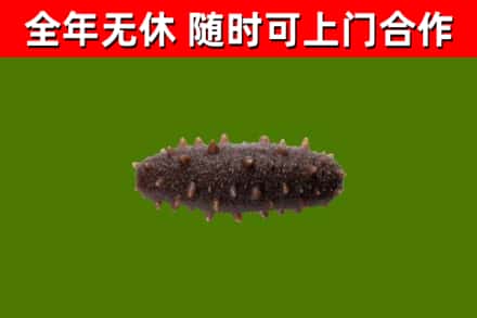 宜丰烟酒回收干海参.jpg